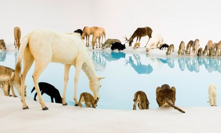 cai-guo-qiang-falling-back-to-earth-2